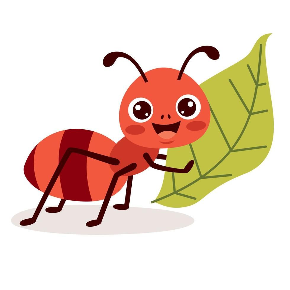 Ant