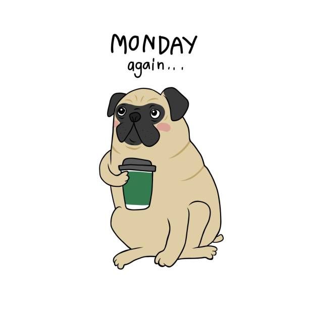  Back to Monday already?