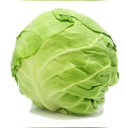 Cabbage