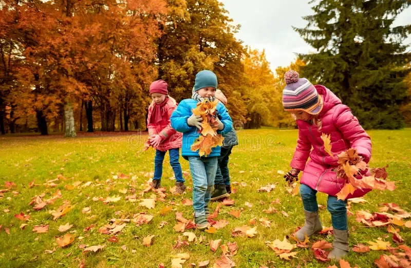 Collect leaves 