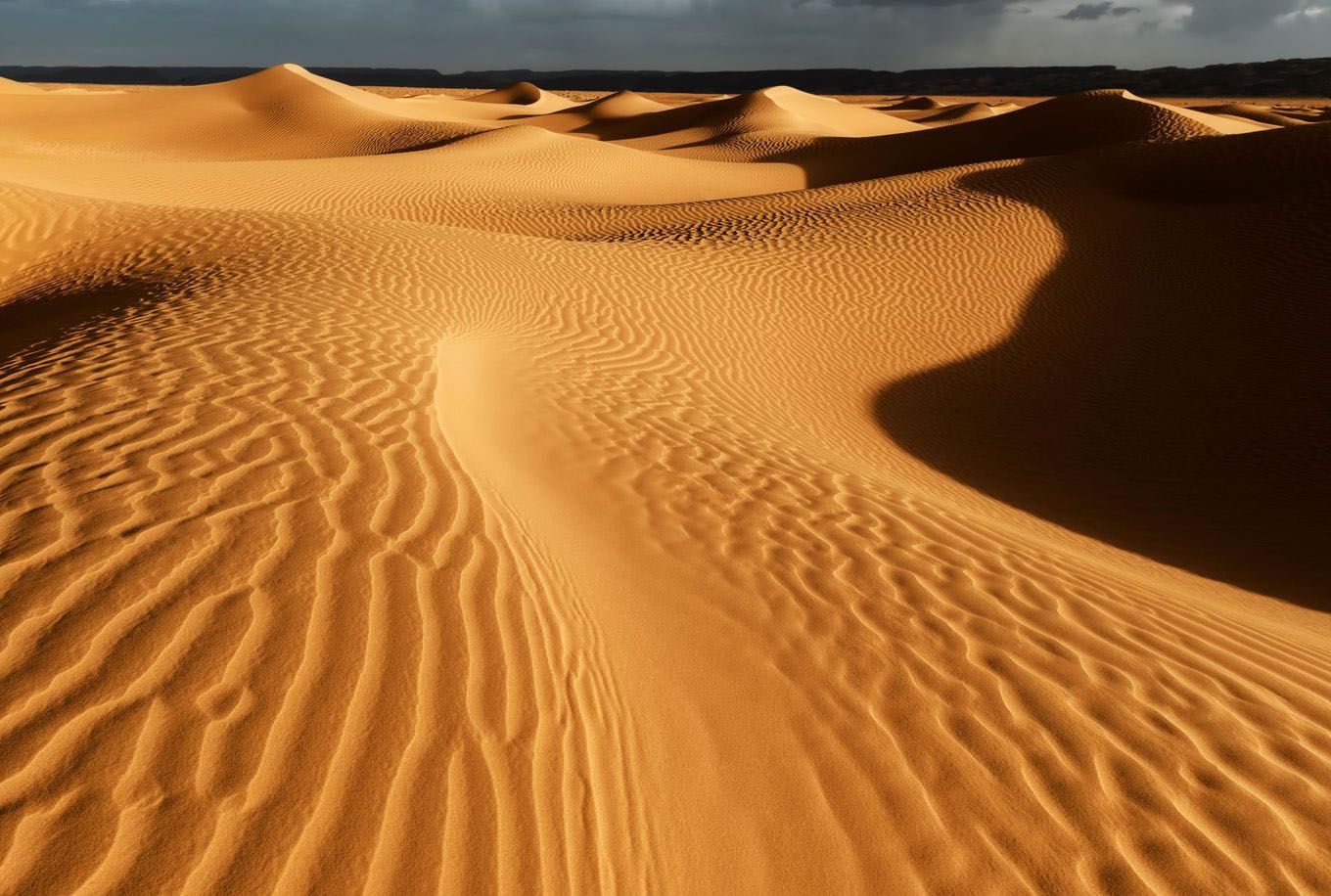 Desert