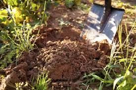 Nhấn để nghe Don't dig up the soil.