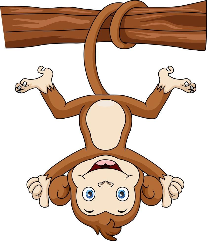 Don’t touch the monkey’s tail.