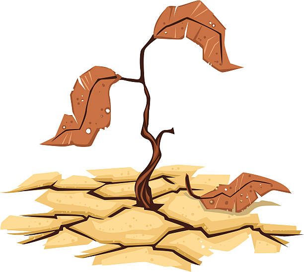 Nhấn để nghe Dry