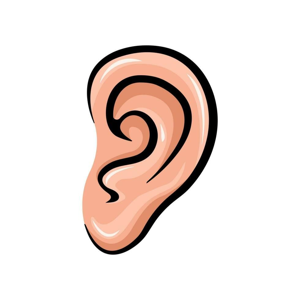 Ear 
