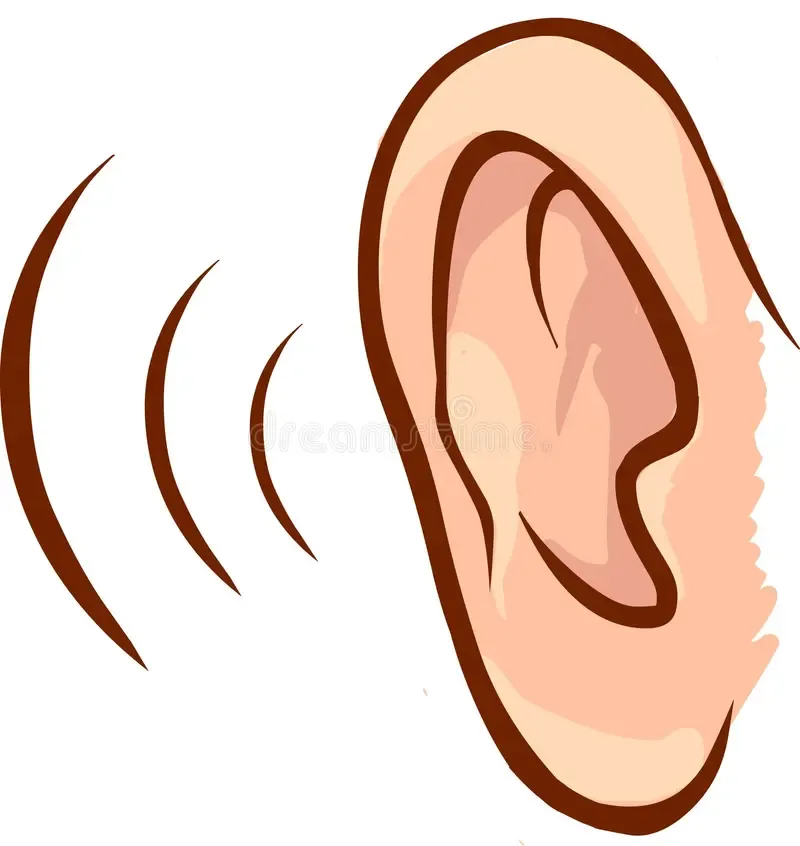 Ear
