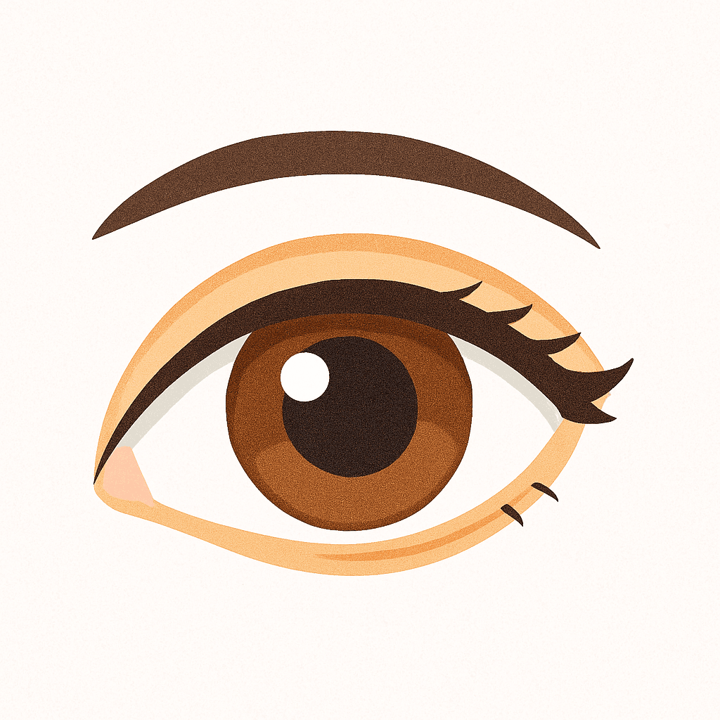 Eye