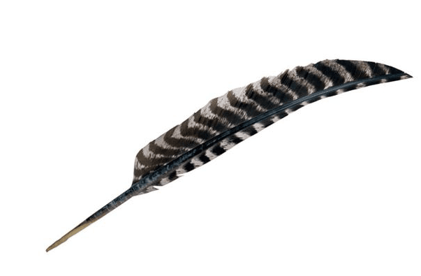 Feather