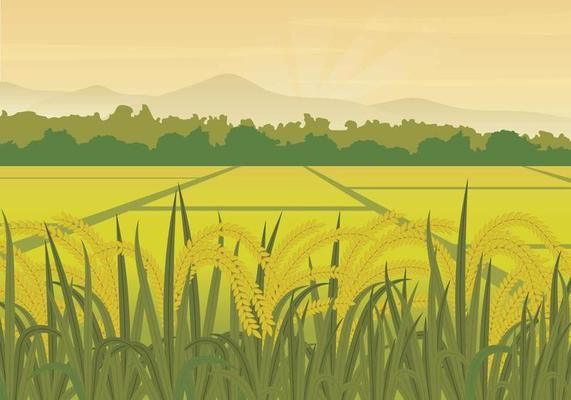 Field