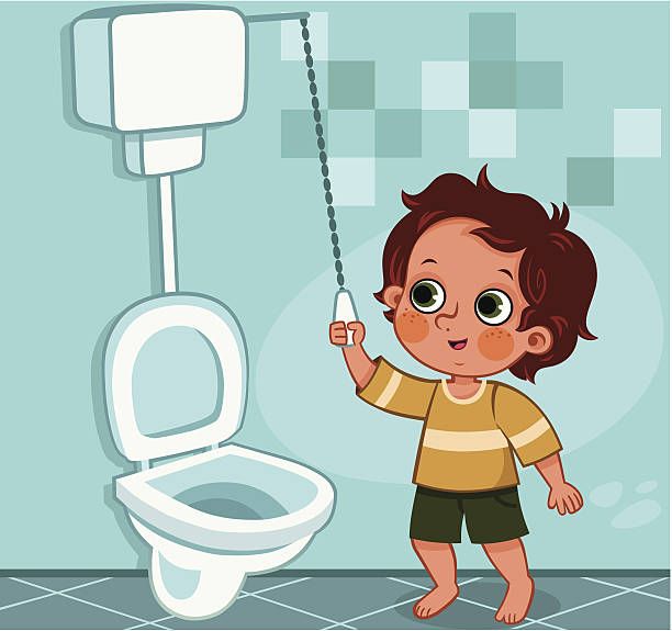 Flush the toilet after using it.