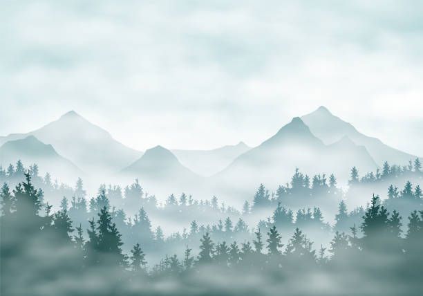 Foggy