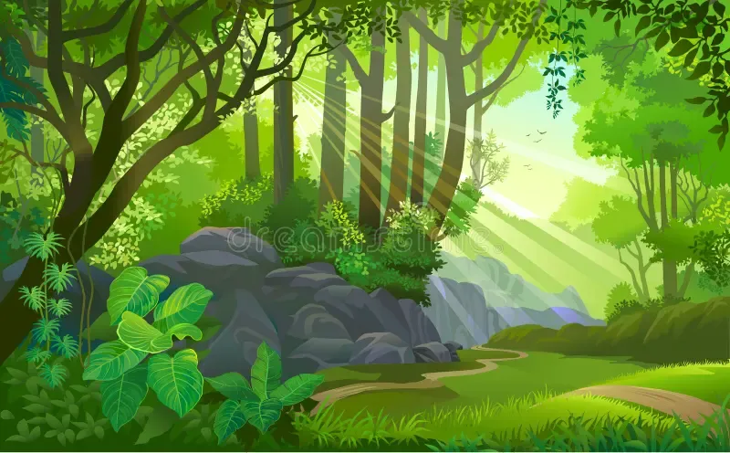 Forest