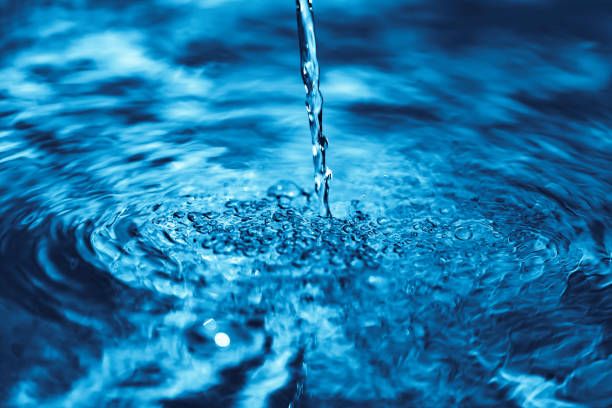 Freshwater