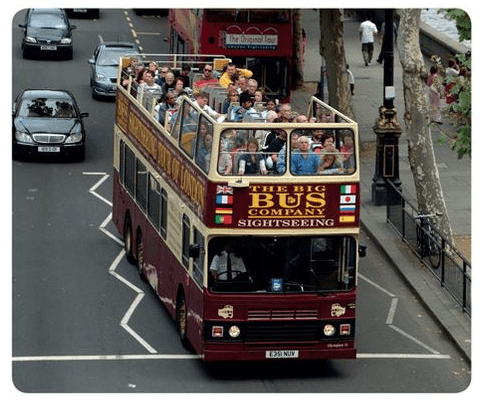 Go on a bus tour