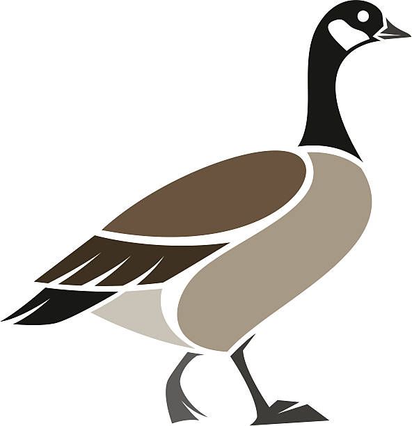 Goose