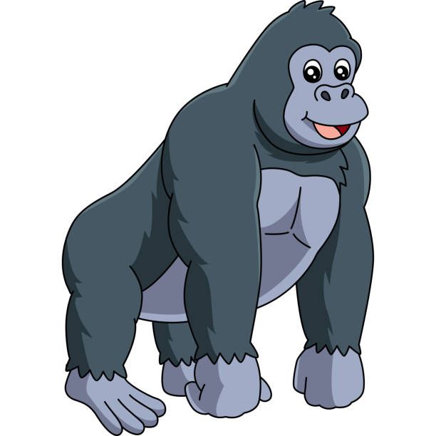 Gorilla