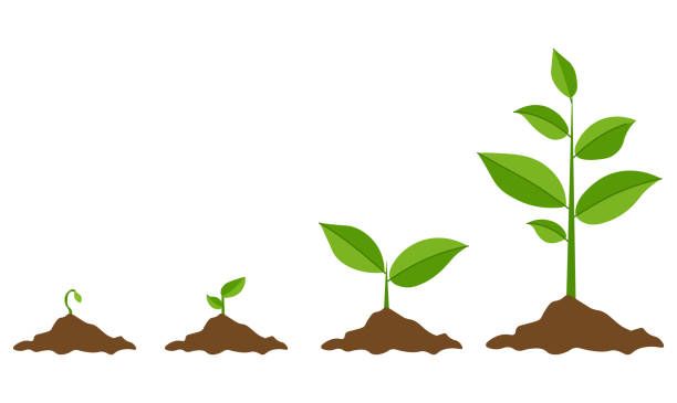 Nhấn để nghe Grow