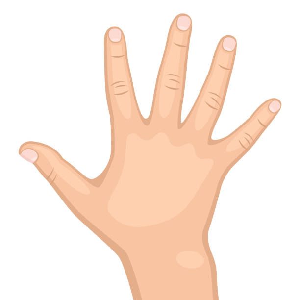 Hand