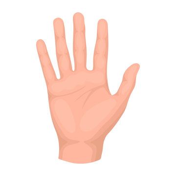 Hand 