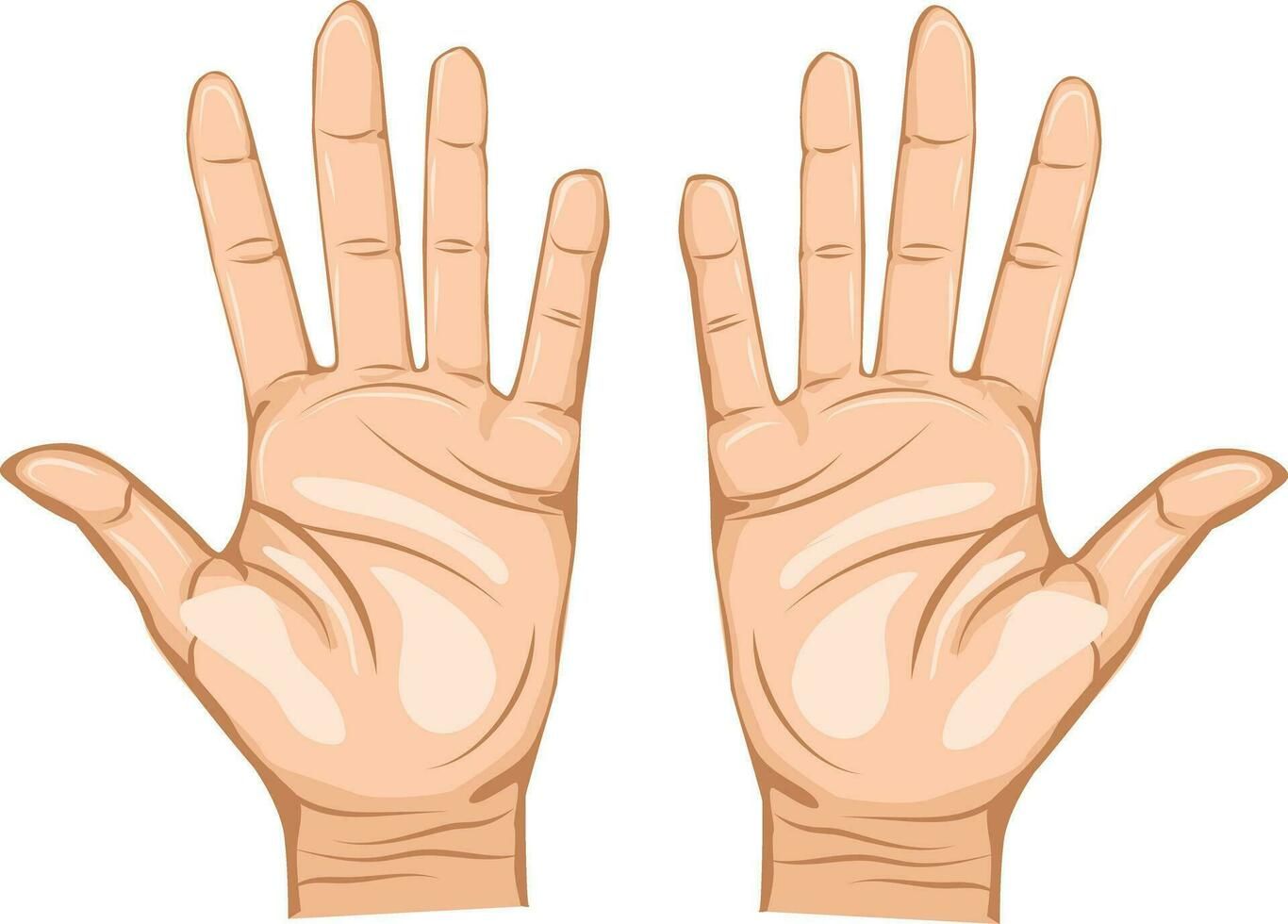 Hands