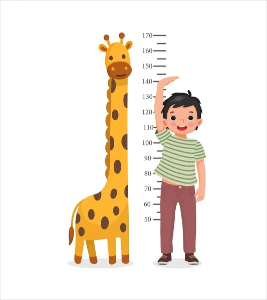 Height