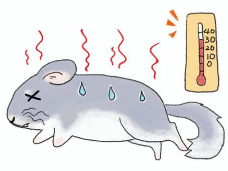  I don’t like the heat.