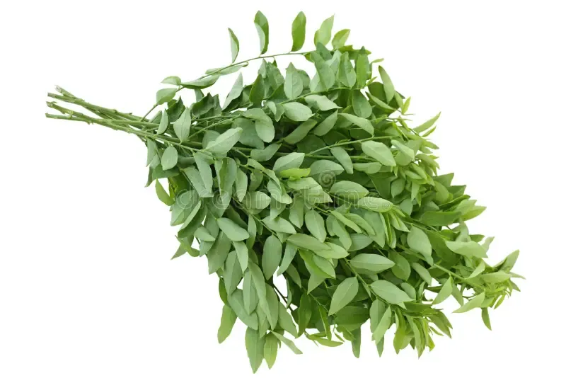 Katuk
