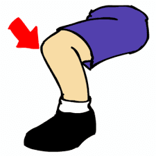 Knee