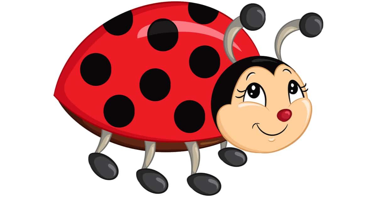 Ladybug