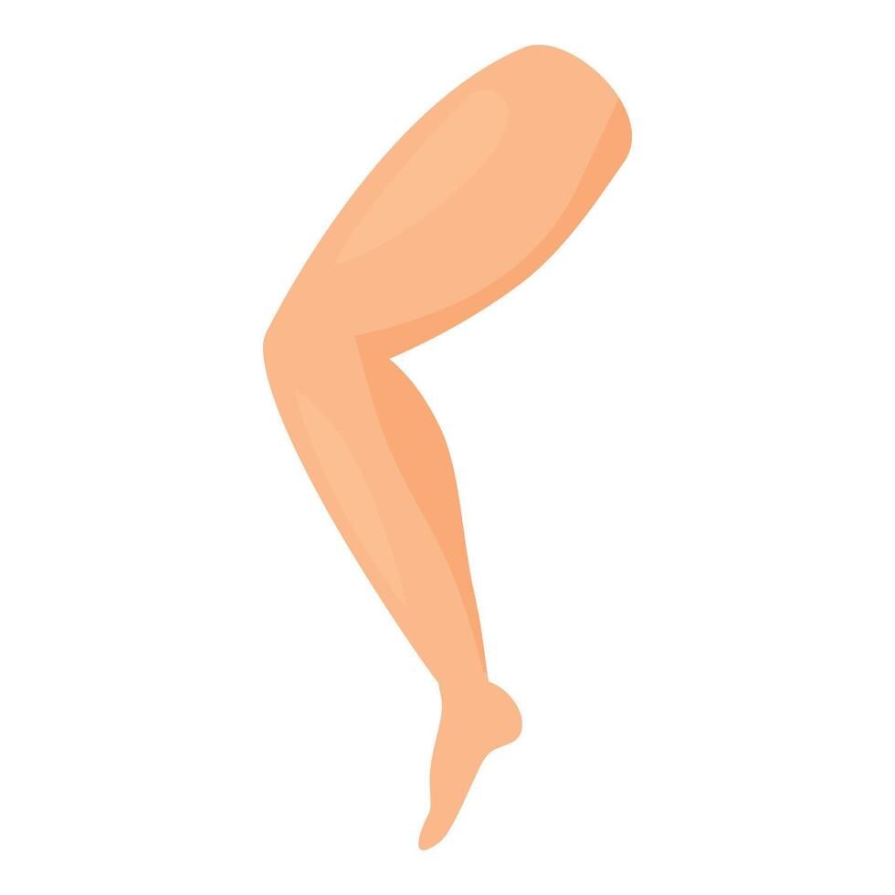 Leg