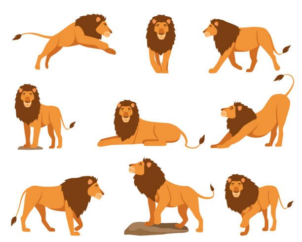 Lions are so strong.