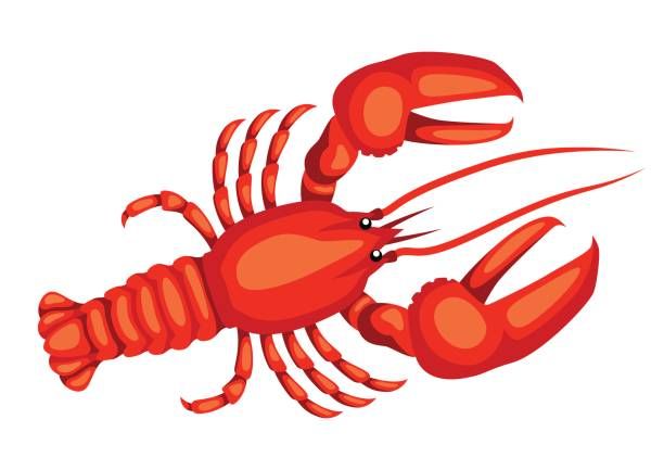 Lobster