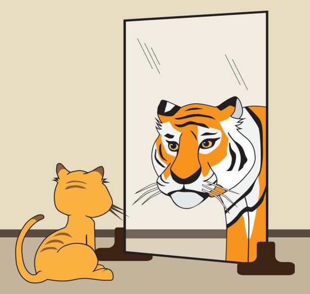 Look, a tiger!