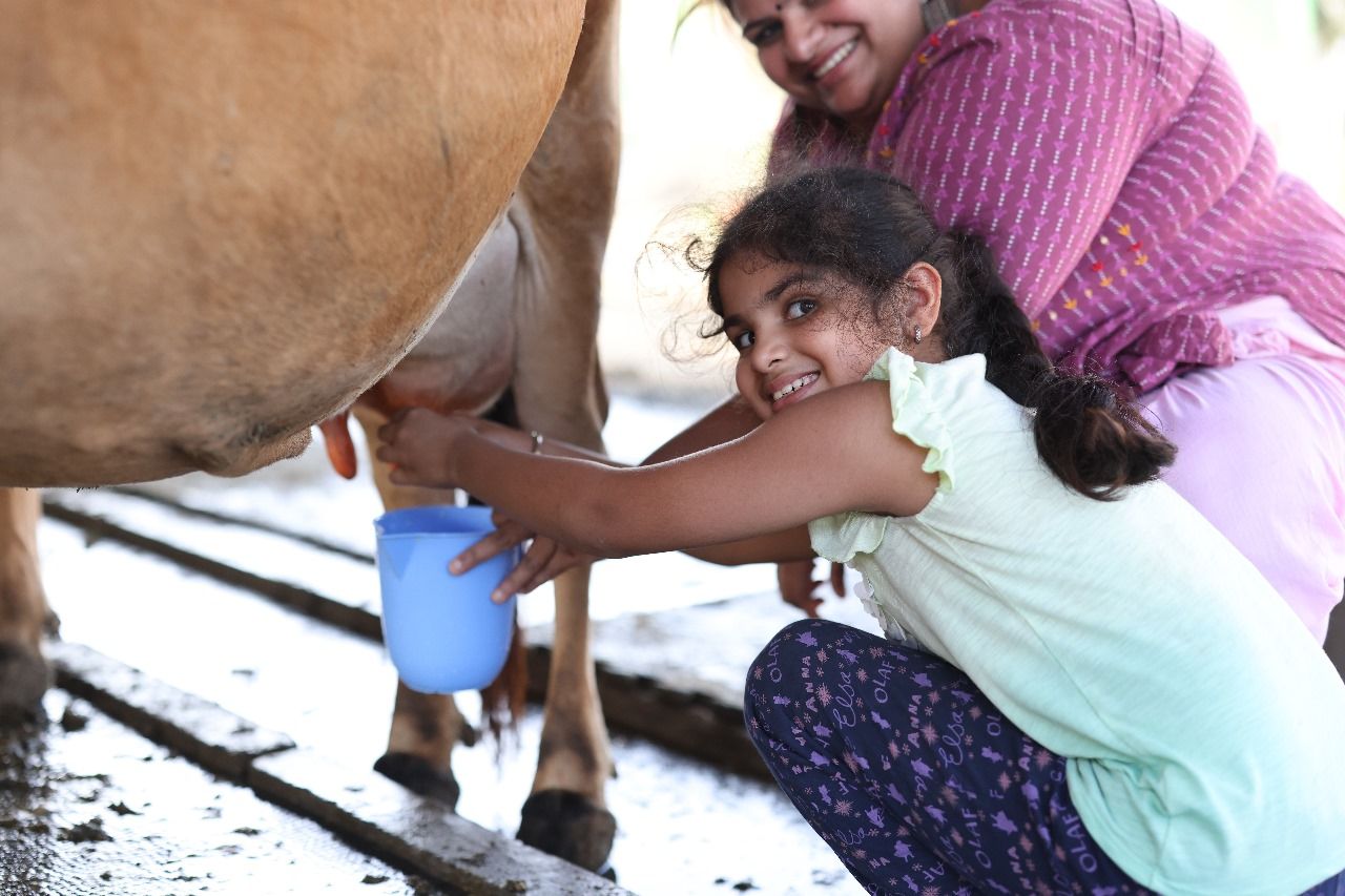 Milk The Cow 