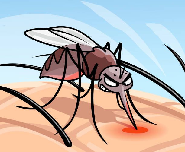 Mosquito bite