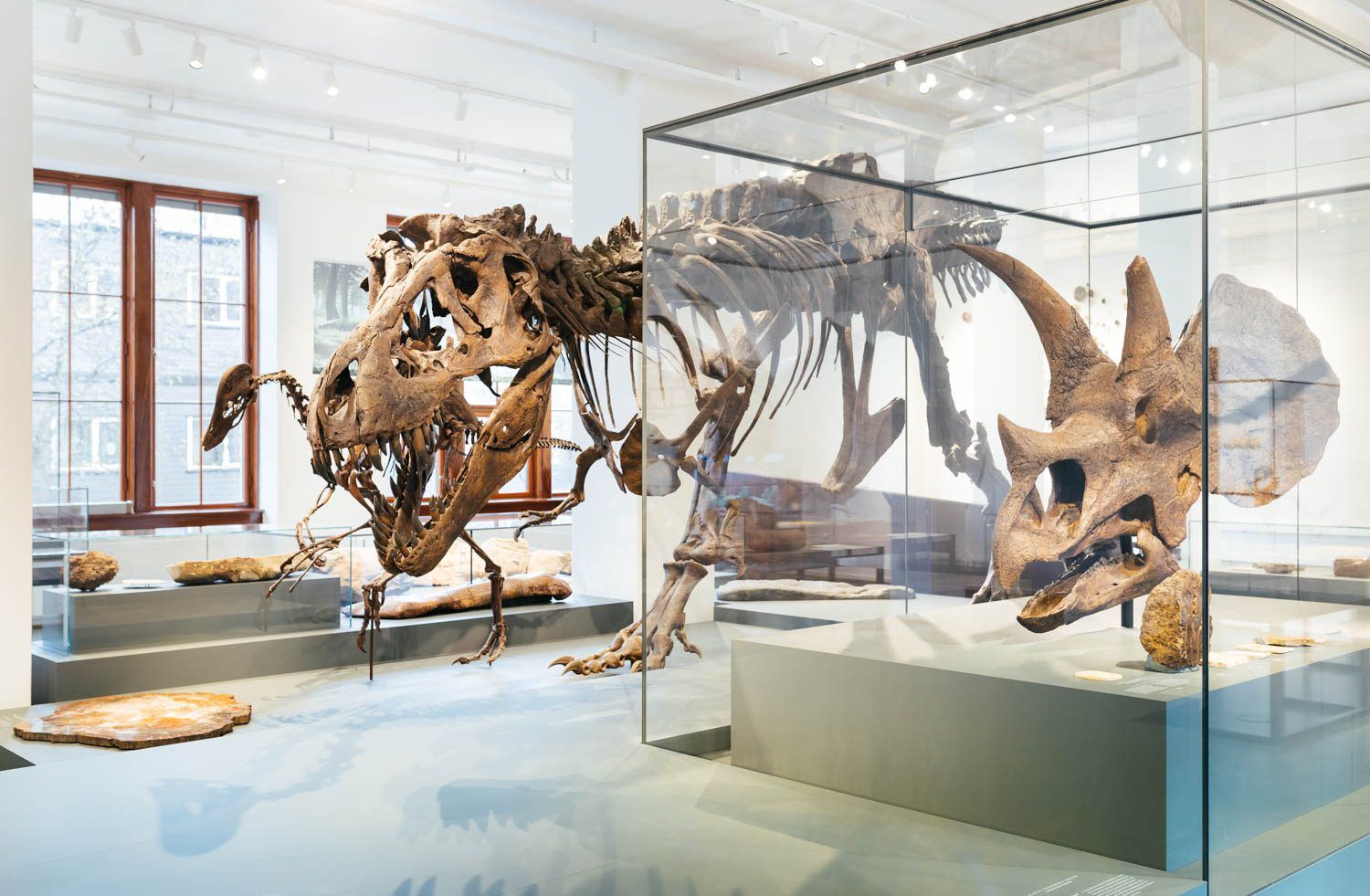 Museum 