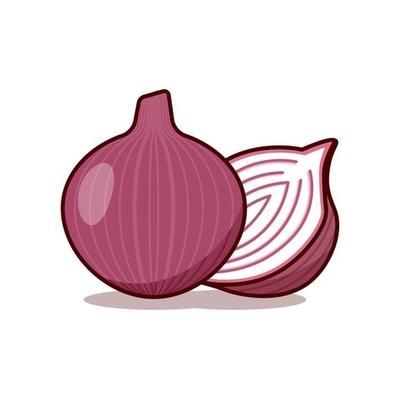 Onion 