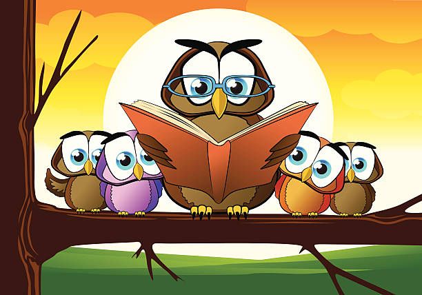 Owls are wise.