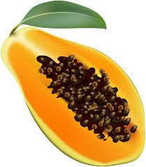 Papaya