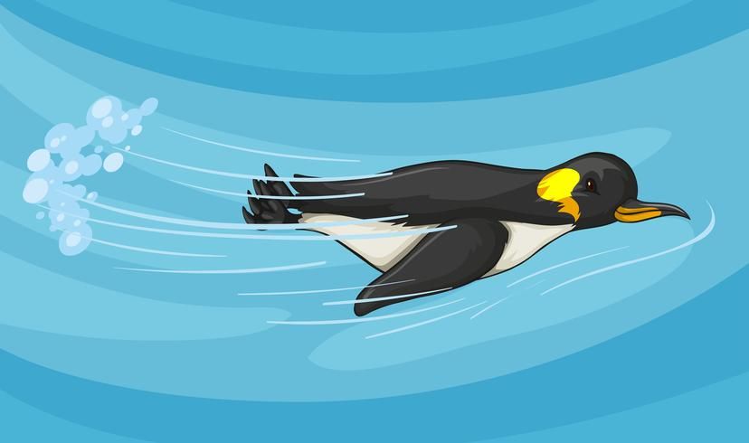 Penguins swim well.