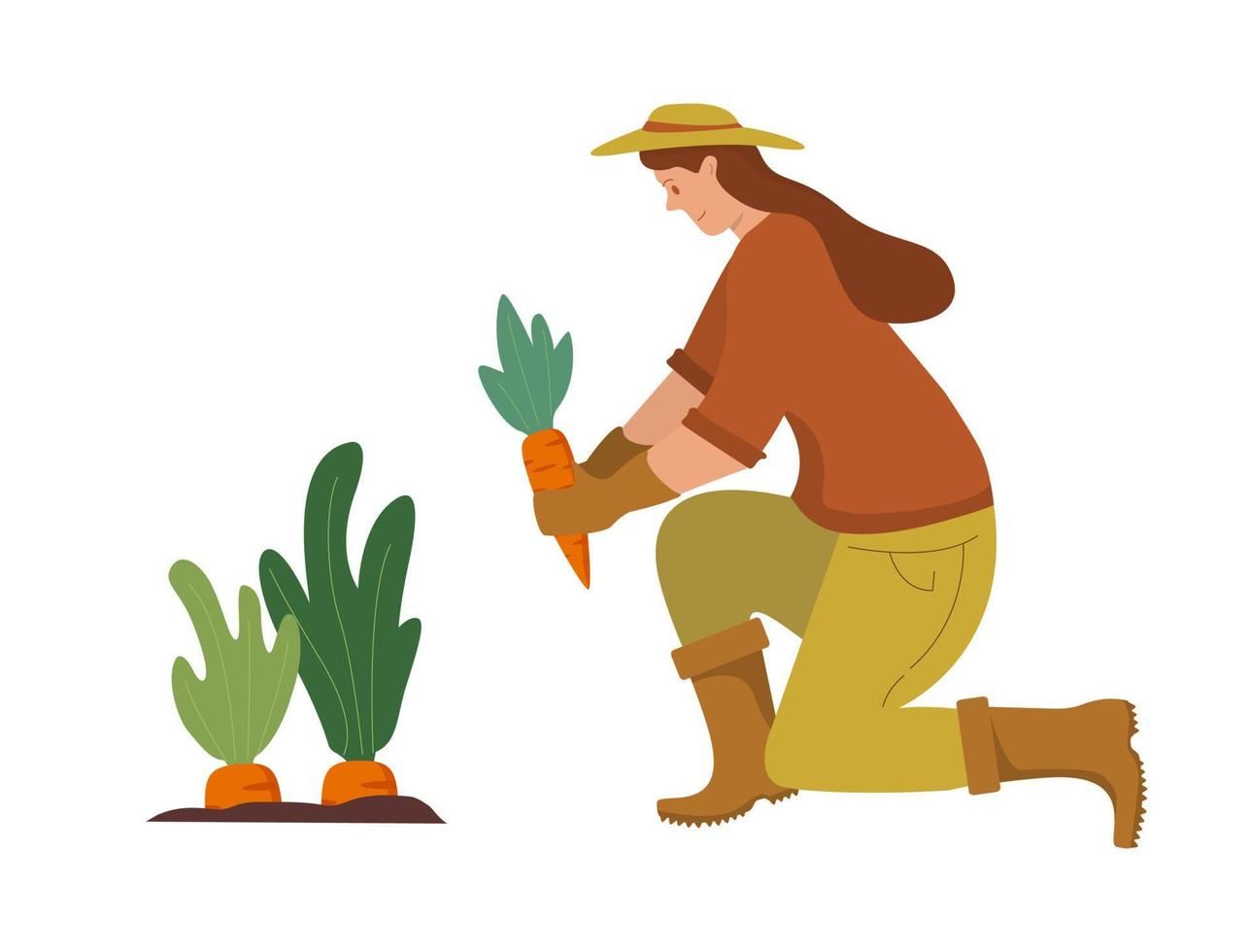 Pick Vegetables 