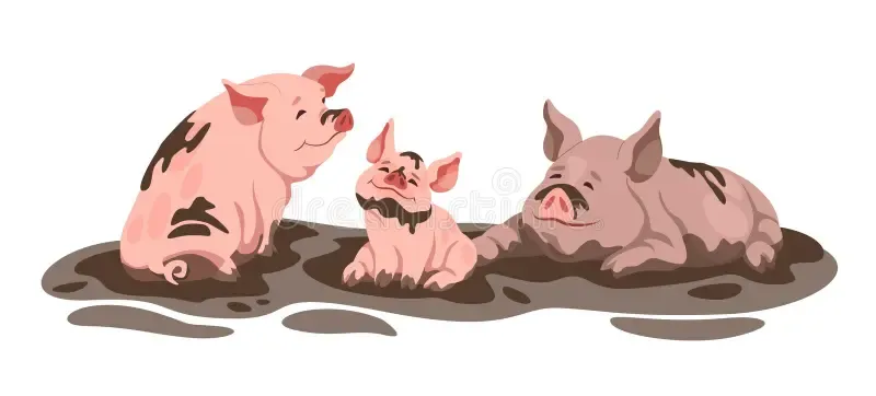 Pigs enjoy the mud.