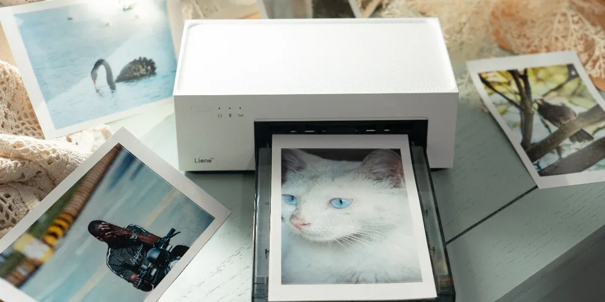Print the photos
