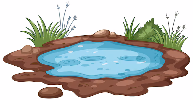 Puddle