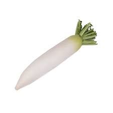 Radish