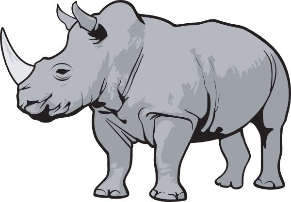 Rhino