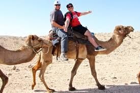 Ride a camel
