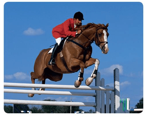 Ride a horse