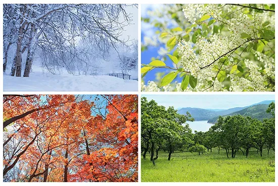 Season