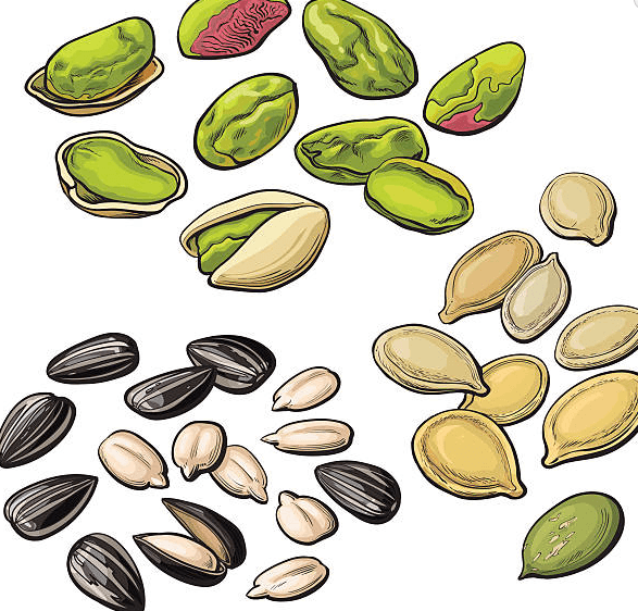 Seed